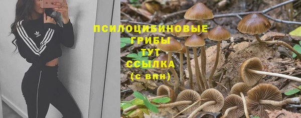 каннабис Сафоново