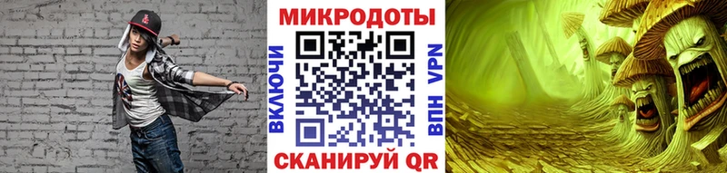 Псилоцибиновые грибы мицелий  купить наркотик  Новоузенск 